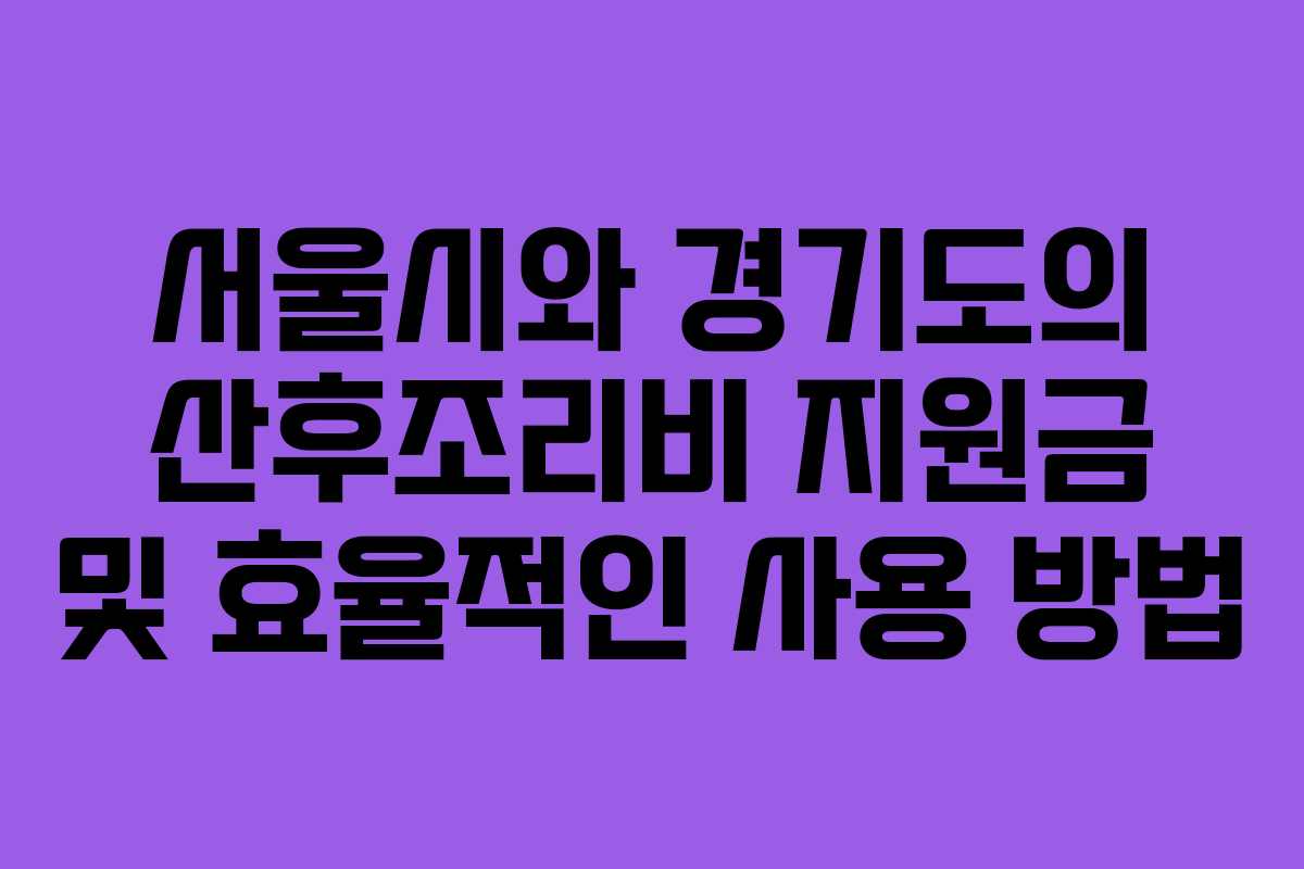 서울시와 경기도의 산후조리비 지원금 및 효율적인 사용 방법