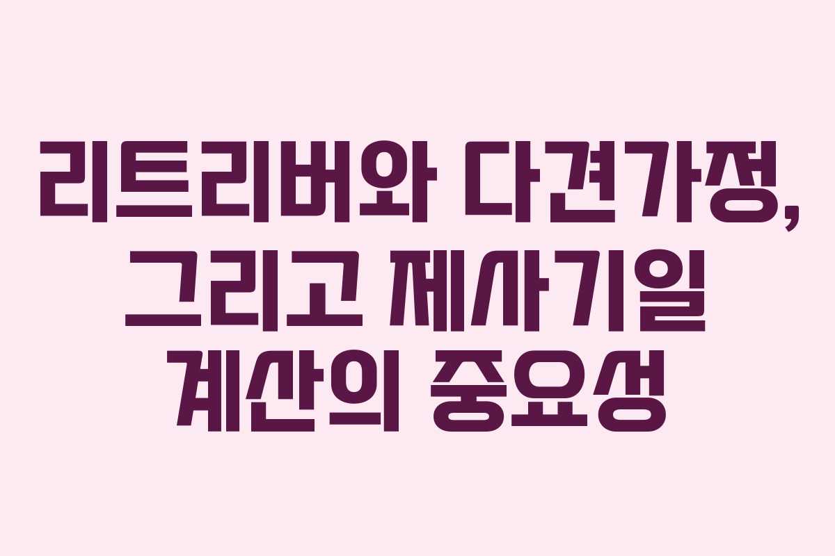 리트리버와 다견가정, 그리고 제사기일 계산의 중요성