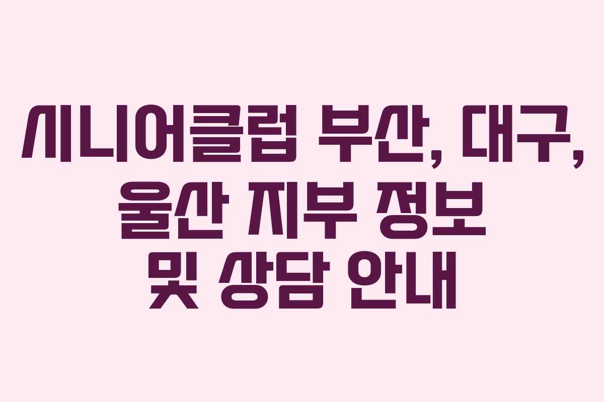 시니어클럽 부산, 대구, 울산 지부 정보 및 상담 안내