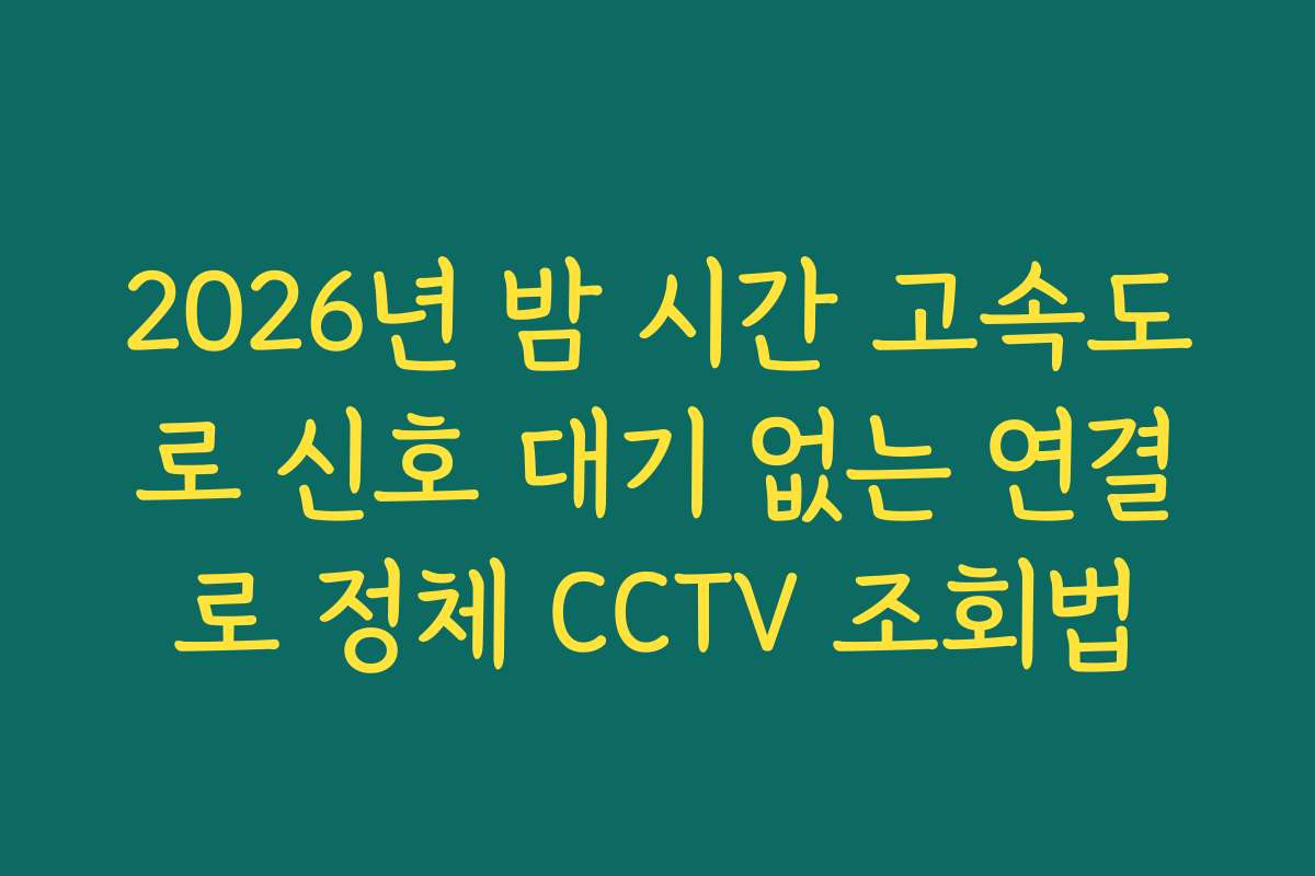 2026년 밤 시간 고속도로 신호 대기 없는 연결로 정체 CCTV 조회법