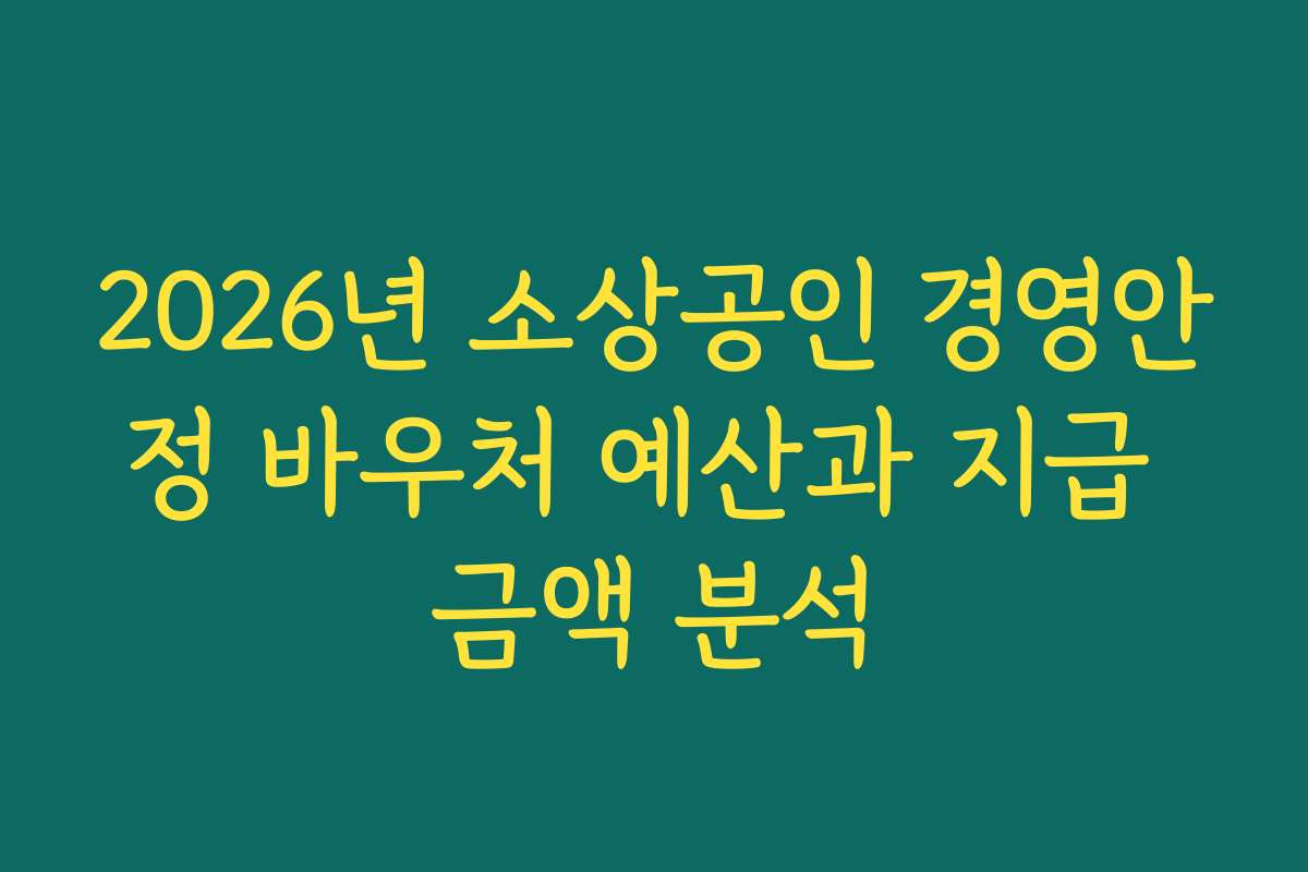 2026년 소상공인 경영안정 바우처 예산과 지급 금액 분석