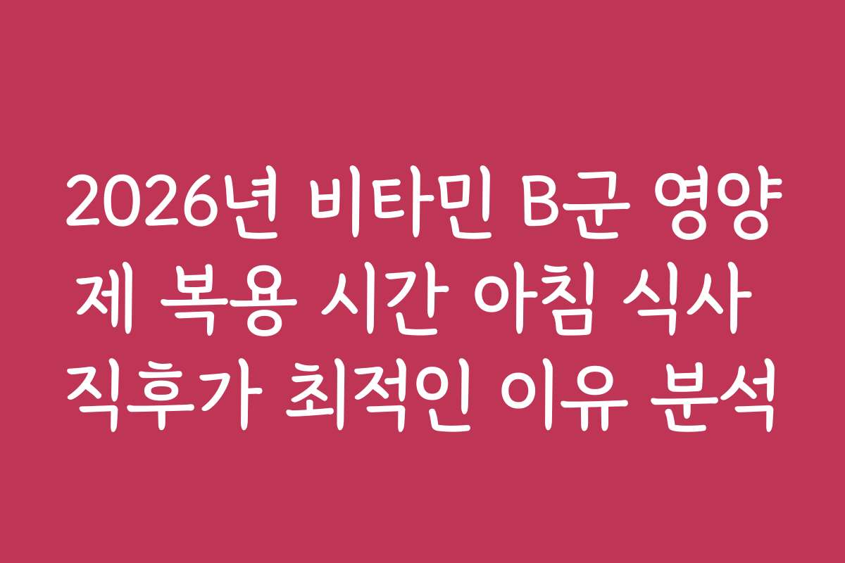 2026년 비타민 B군 영양제 복용 시간 아침 식사 직후가 최적인 이유 분석