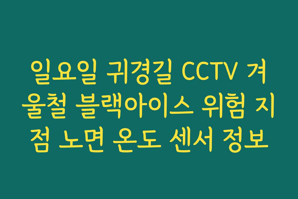 일요일 귀경길 CCTV 겨울철 블랙아이스 위험 지점 노면 온도 센서 정보