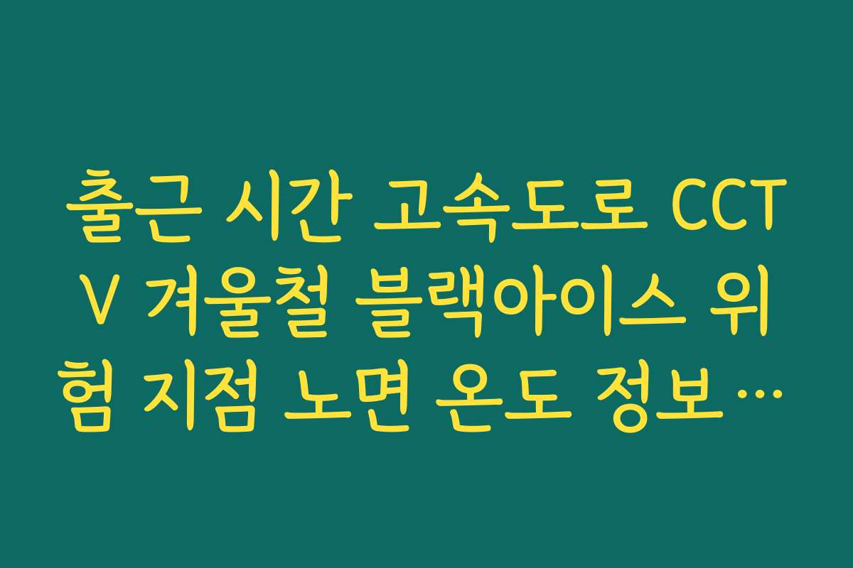 출근 시간 고속도로 CCTV 겨울철 블랙아이스 위험 지점 노면 온도 정보 확인