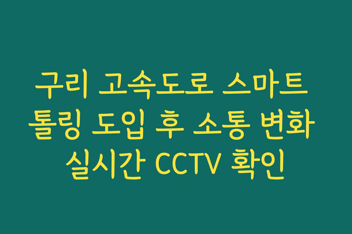 구리 고속도로 스마트 톨링 도입 후 소통 변화 실시간 CCTV 확인