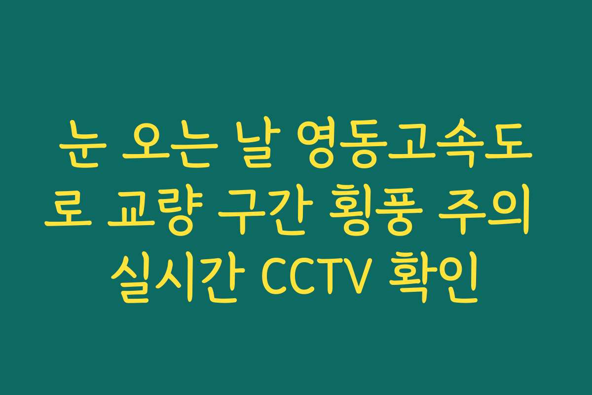 눈 오는 날 영동고속도로 교량 구간 횡풍 주의 실시간 CCTV 확인