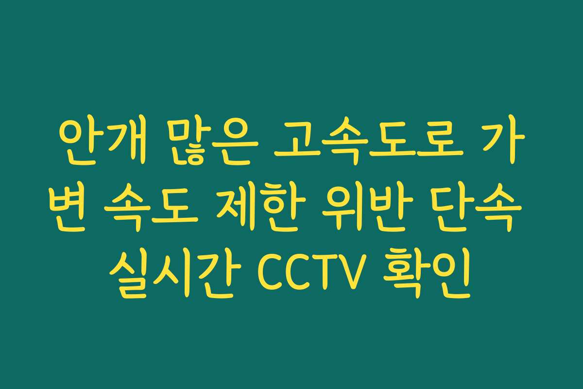 안개 많은 고속도로 가변 속도 제한 위반 단속 실시간 CCTV 확인