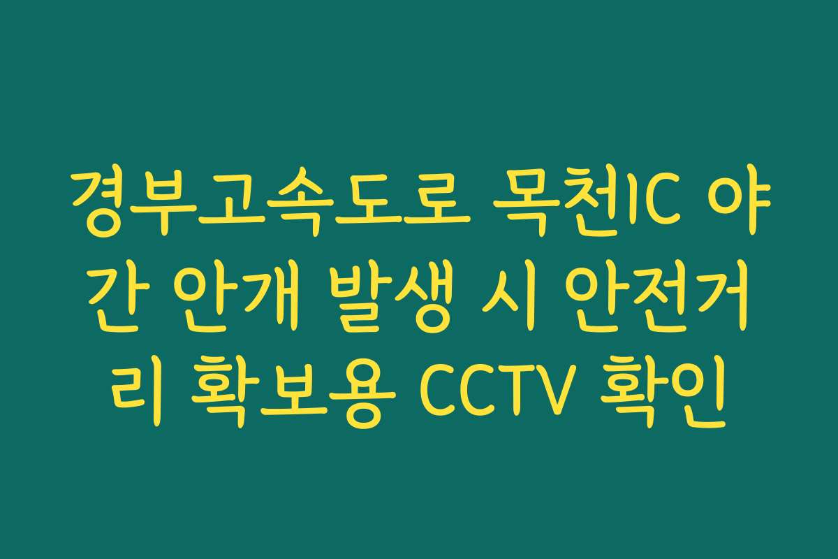 경부고속도로 목천IC 야간 안개 발생 시 안전거리 확보용 CCTV 확인