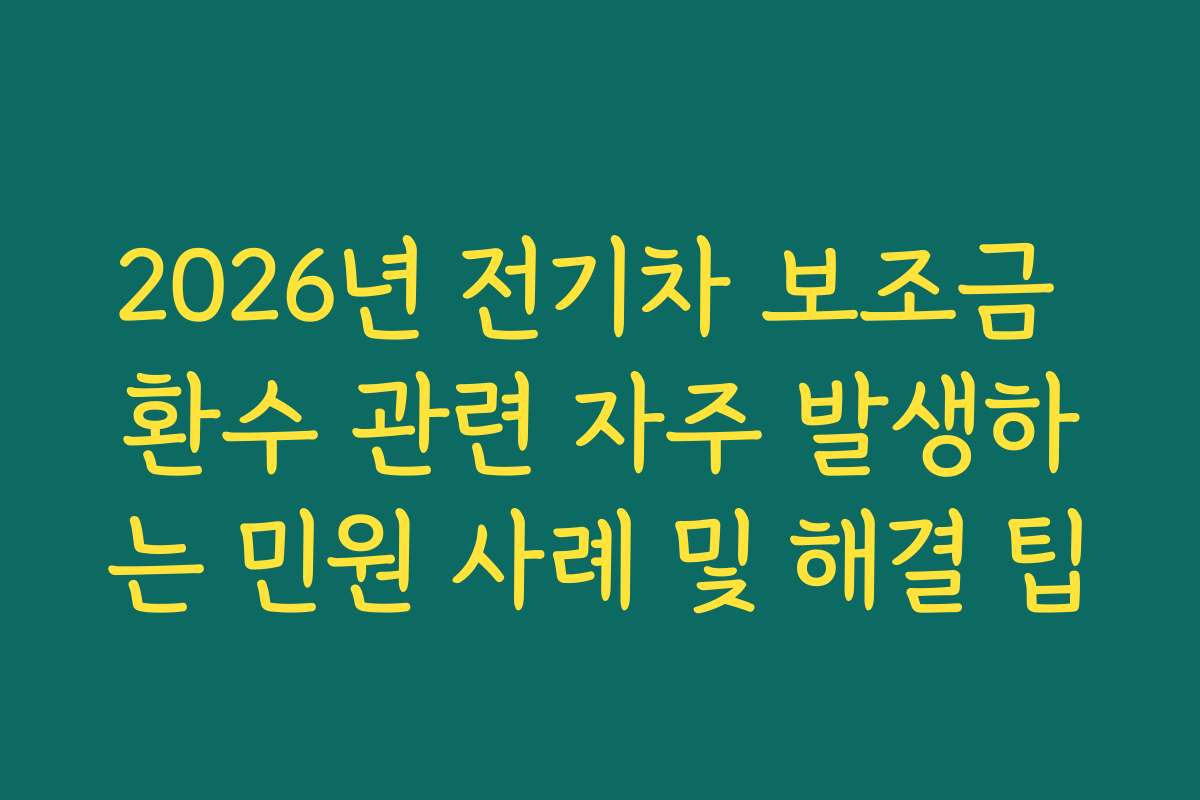 2026년 전기차 보조금 환수 관련 자주 발생하는 민원 사례 및 해결 팁