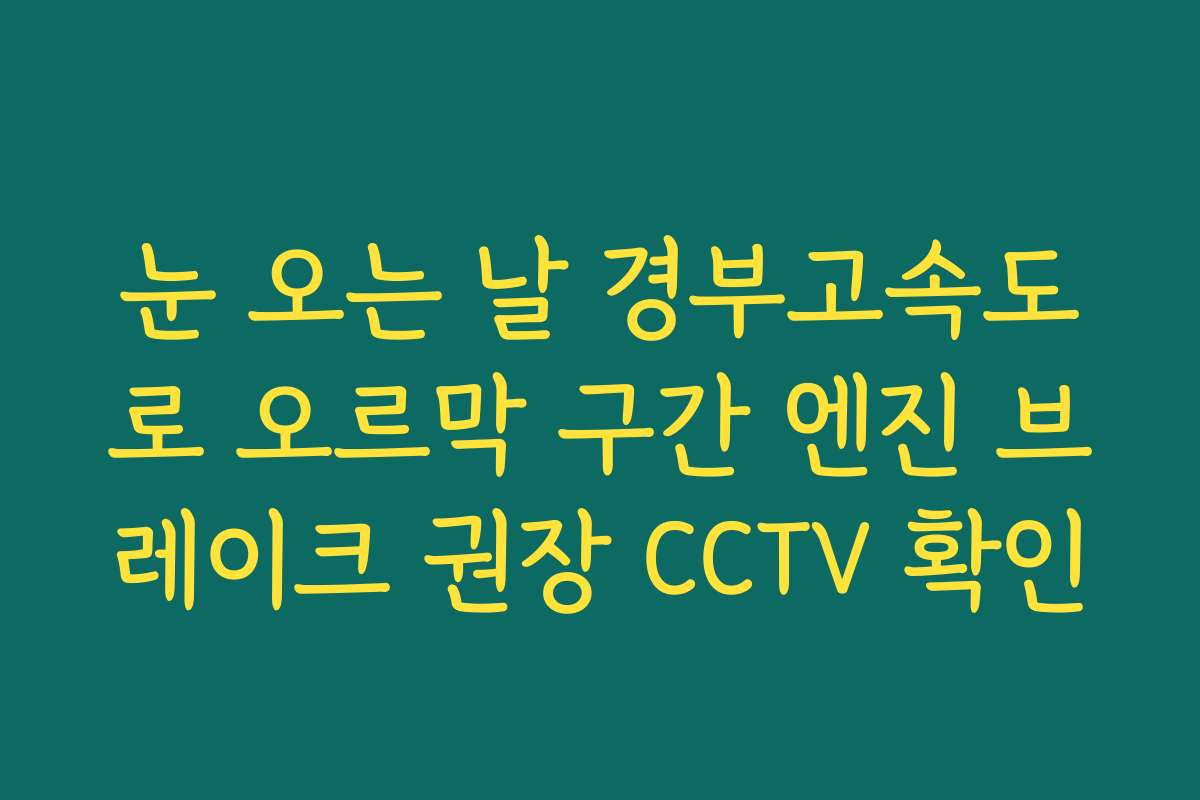 눈 오는 날 경부고속도로 오르막 구간 엔진 브레이크 권장 CCTV 확인