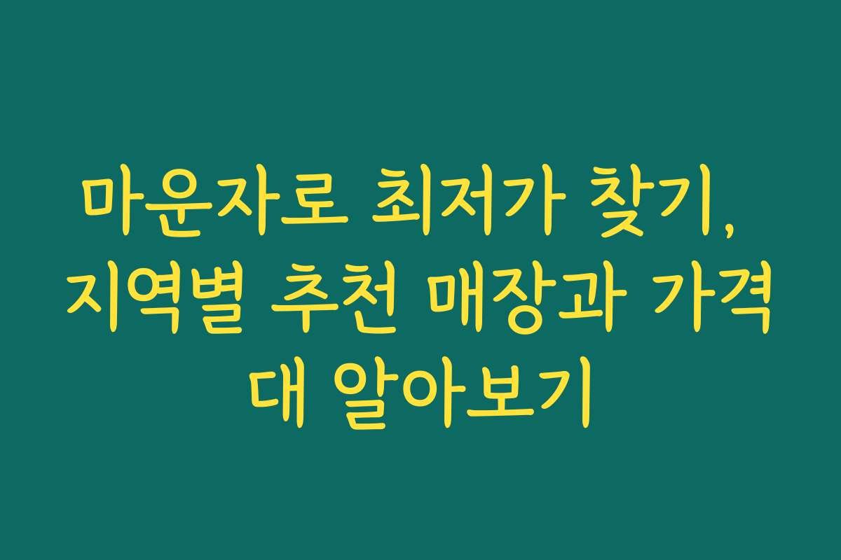 마운자로 최저가 찾기, 지역별 추천 매장과 가격대 알아보기