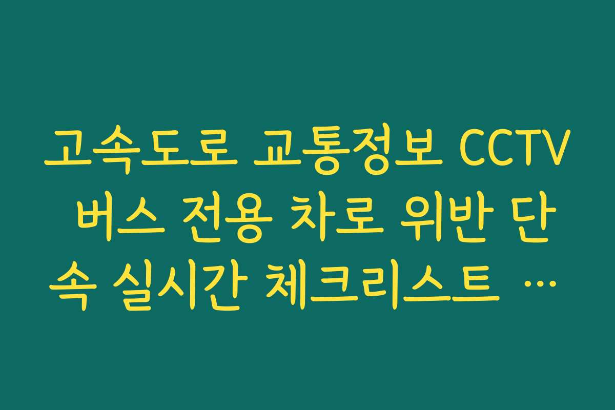 고속도로 교통정보 CCTV 버스 전용 차로 위반 단속 실시간 체크리스트 안내