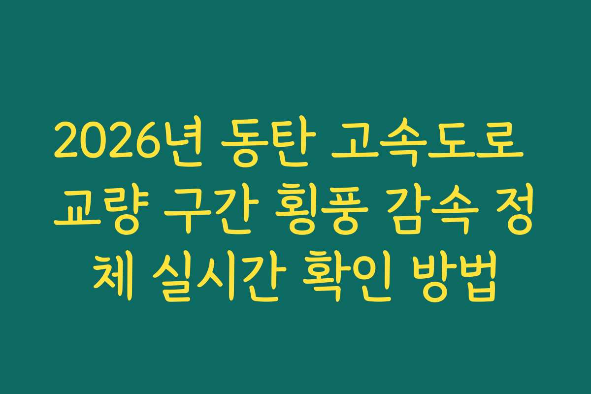 2026년 동탄 고속도로 교량 구간 횡풍 감속 정체 실시간 확인 방법