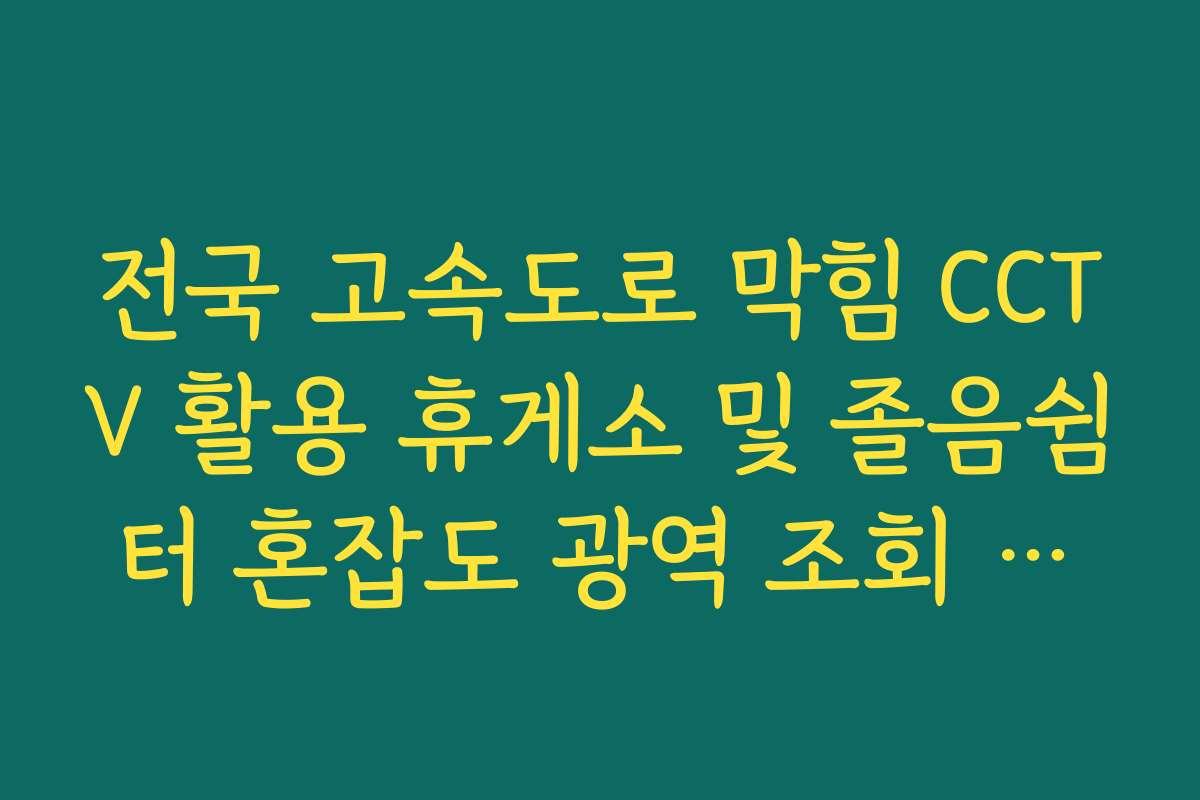 전국 고속도로 막힘 CCTV 활용 휴게소 및 졸음쉼터 혼잡도 광역 조회 방법