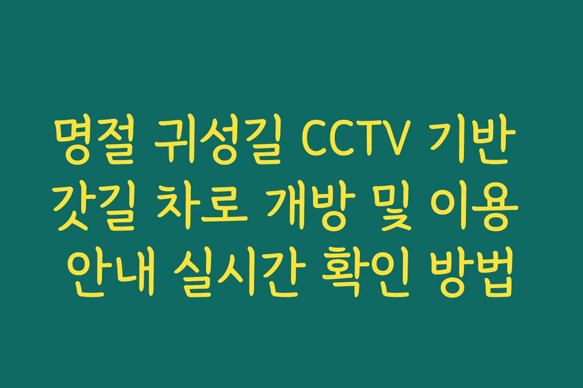 명절 귀성길 CCTV 기반 갓길 차로 개방 및 이용 안내 실시간 확인 방법