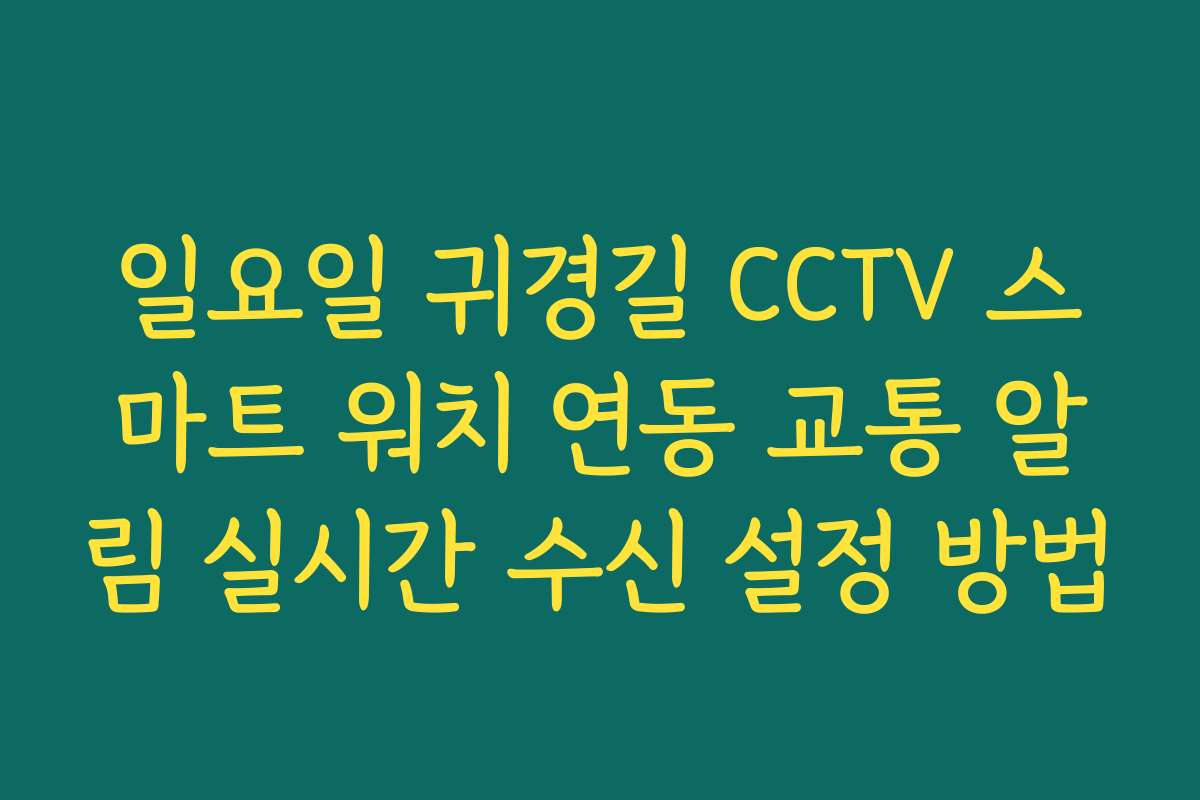 일요일 귀경길 CCTV 스마트 워치 연동 교통 알림 실시간 수신 설정 방법