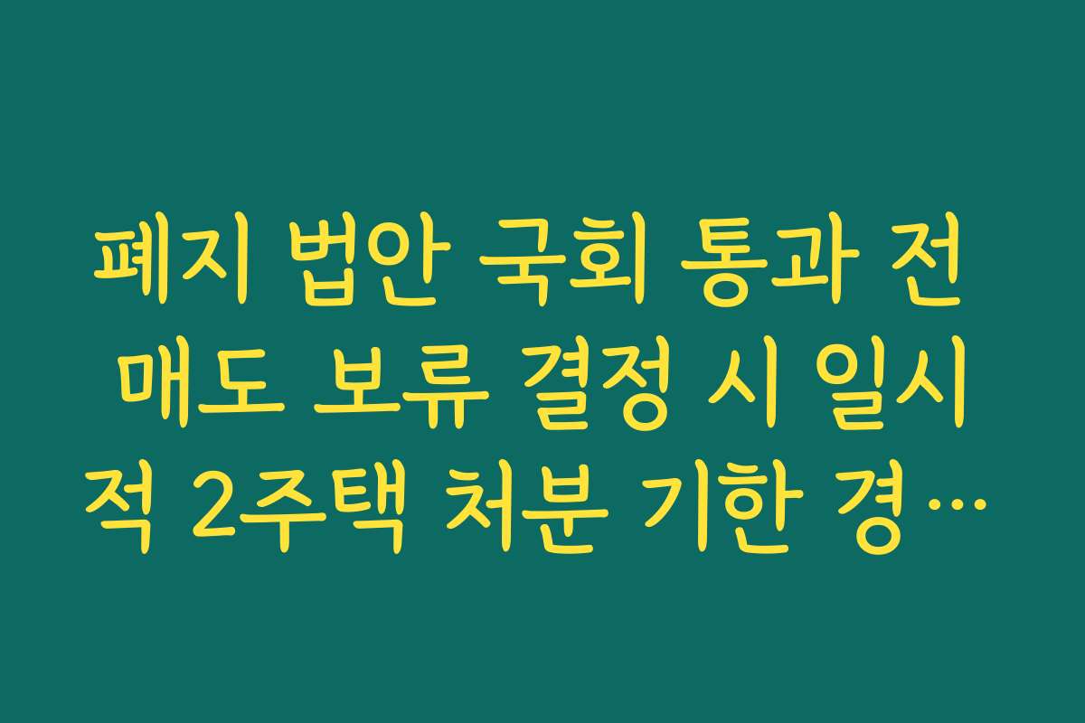 폐지 법안 국회 통과 전 매도 보류 결정 시 일시적 2주택 처분 기한 경과 주의사항