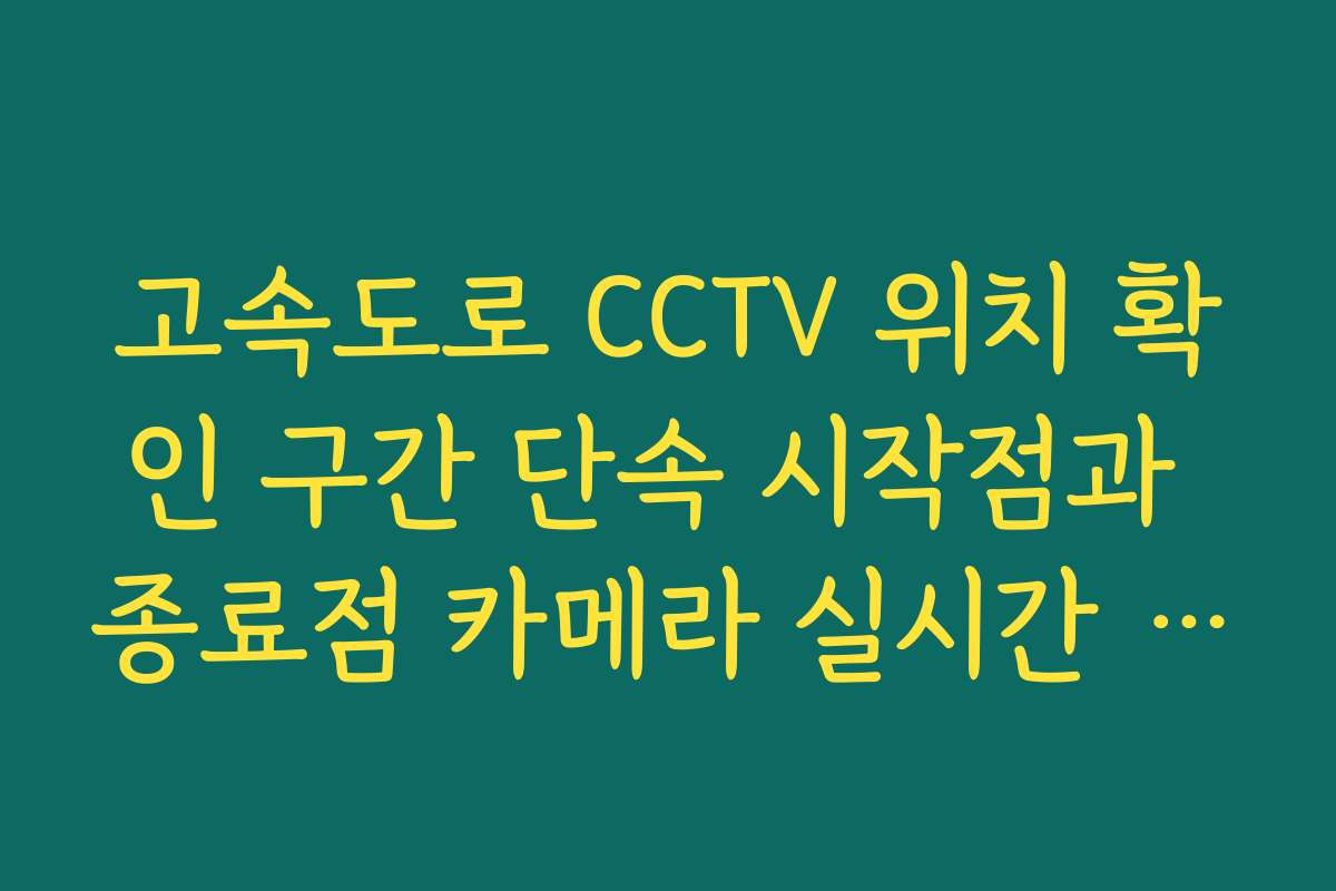 고속도로 CCTV 위치 확인 구간 단속 시작점과 종료점 카메라 실시간 조회