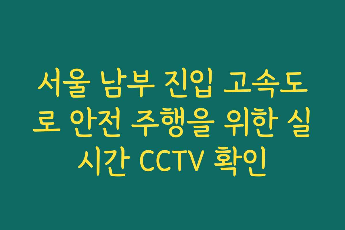 서울 남부 진입 고속도로 안전 주행을 위한 실시간 CCTV 확인