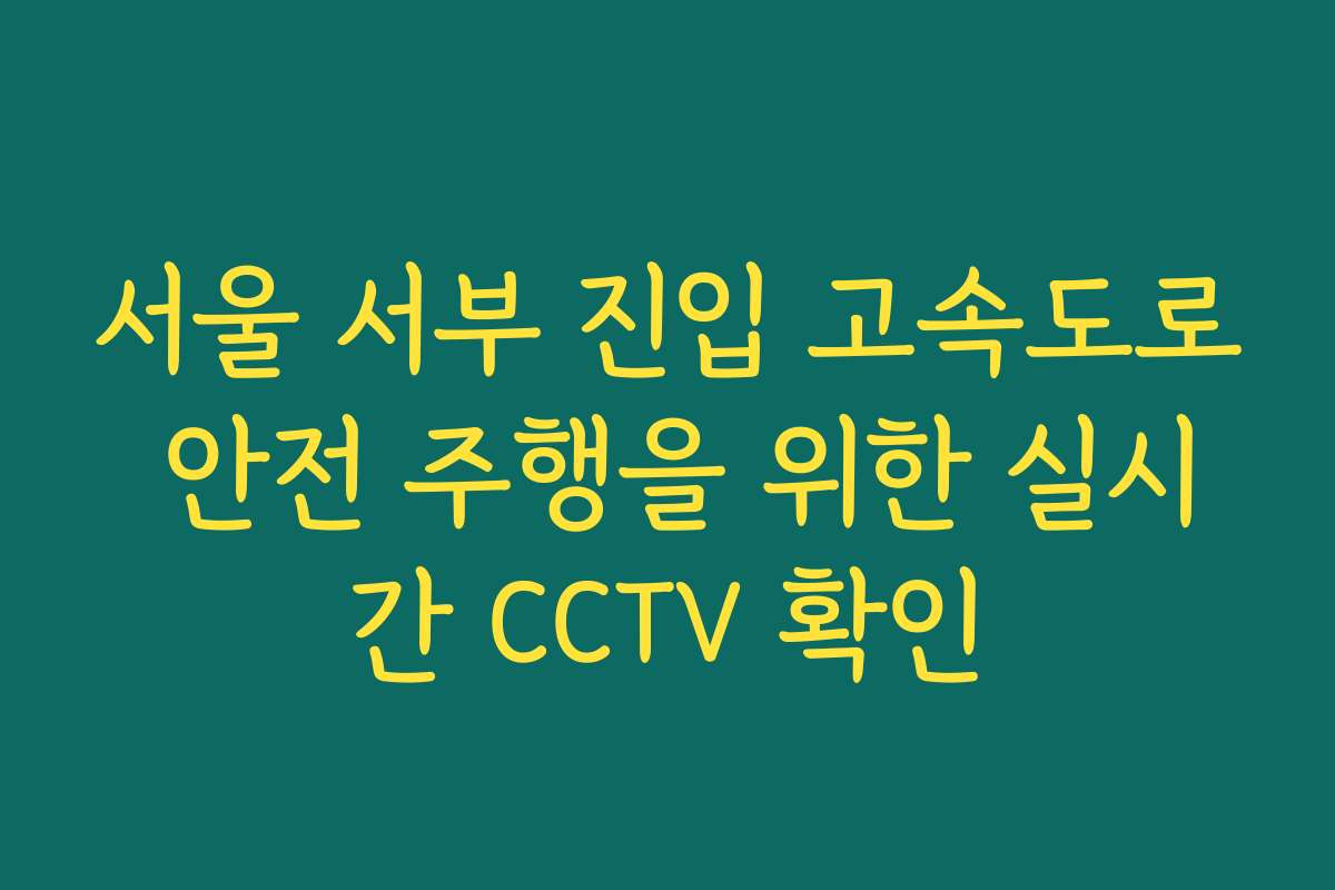 서울 서부 진입 고속도로 안전 주행을 위한 실시간 CCTV 확인