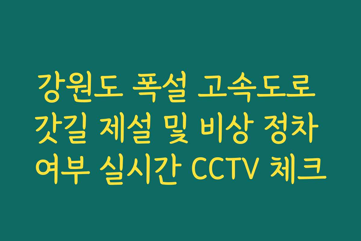 강원도 폭설 고속도로 갓길 제설 및 비상 정차 여부 실시간 CCTV 체크