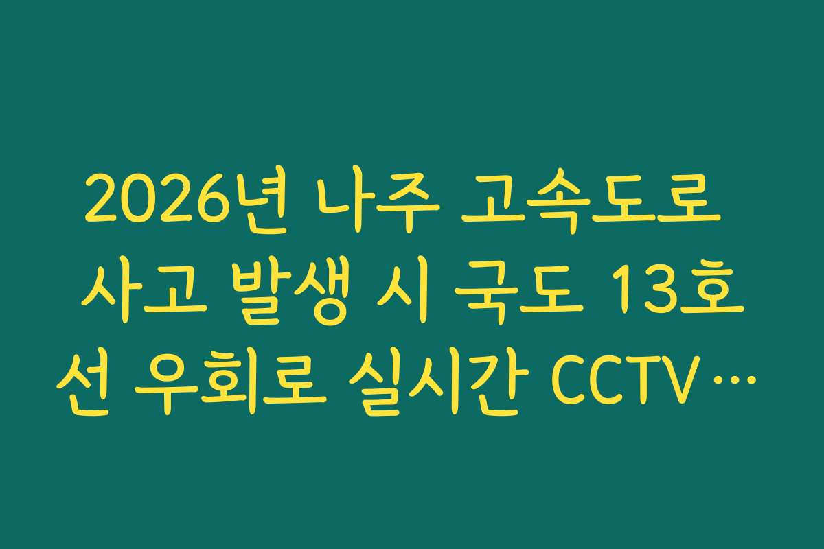 2026년 나주 고속도로 사고 발생 시 국도 13호선 우회로 실시간 CCTV 확인