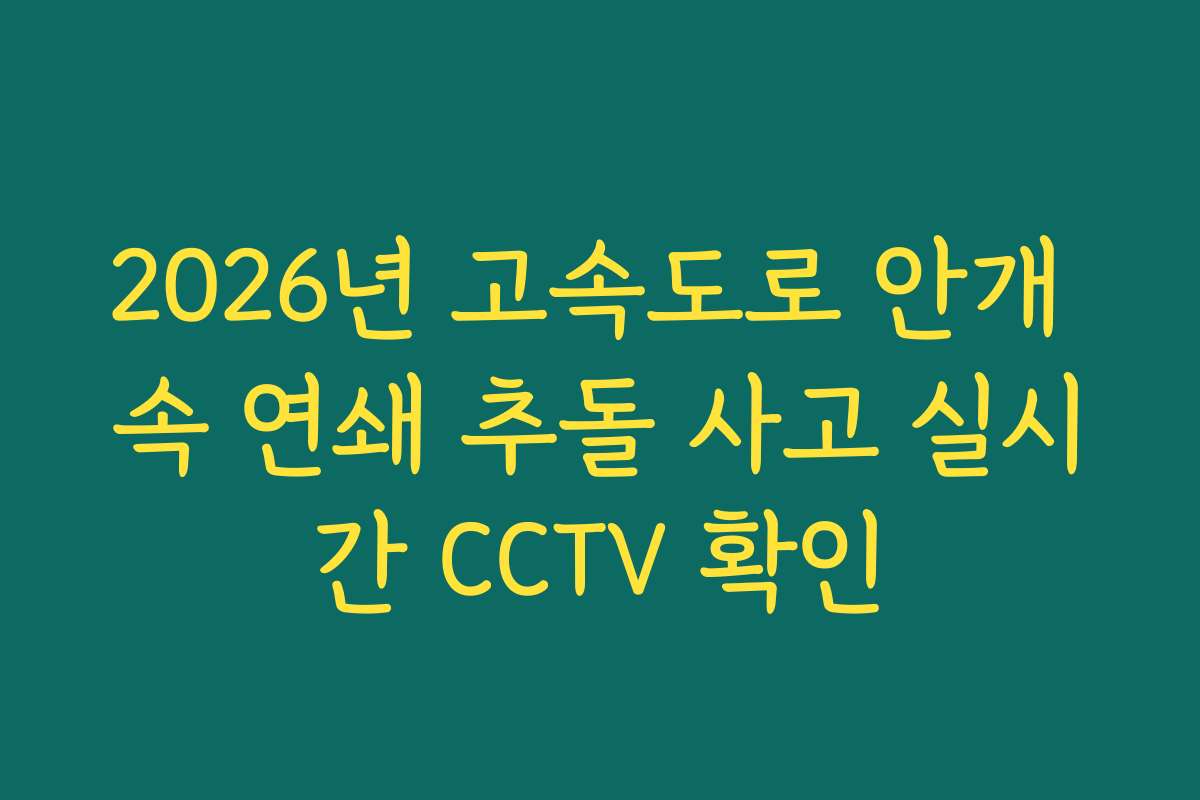 2026년 고속도로 안개 속 연쇄 추돌 사고 실시간 CCTV 확인