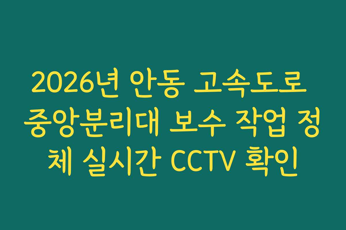 2026년 안동 고속도로 중앙분리대 보수 작업 정체 실시간 CCTV 확인