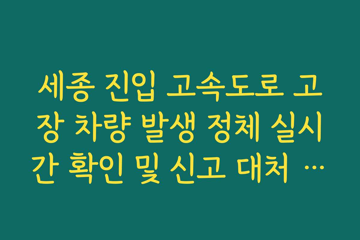 세종 진입 고속도로 고장 차량 발생 정체 실시간 확인 및 신고 대처 방법