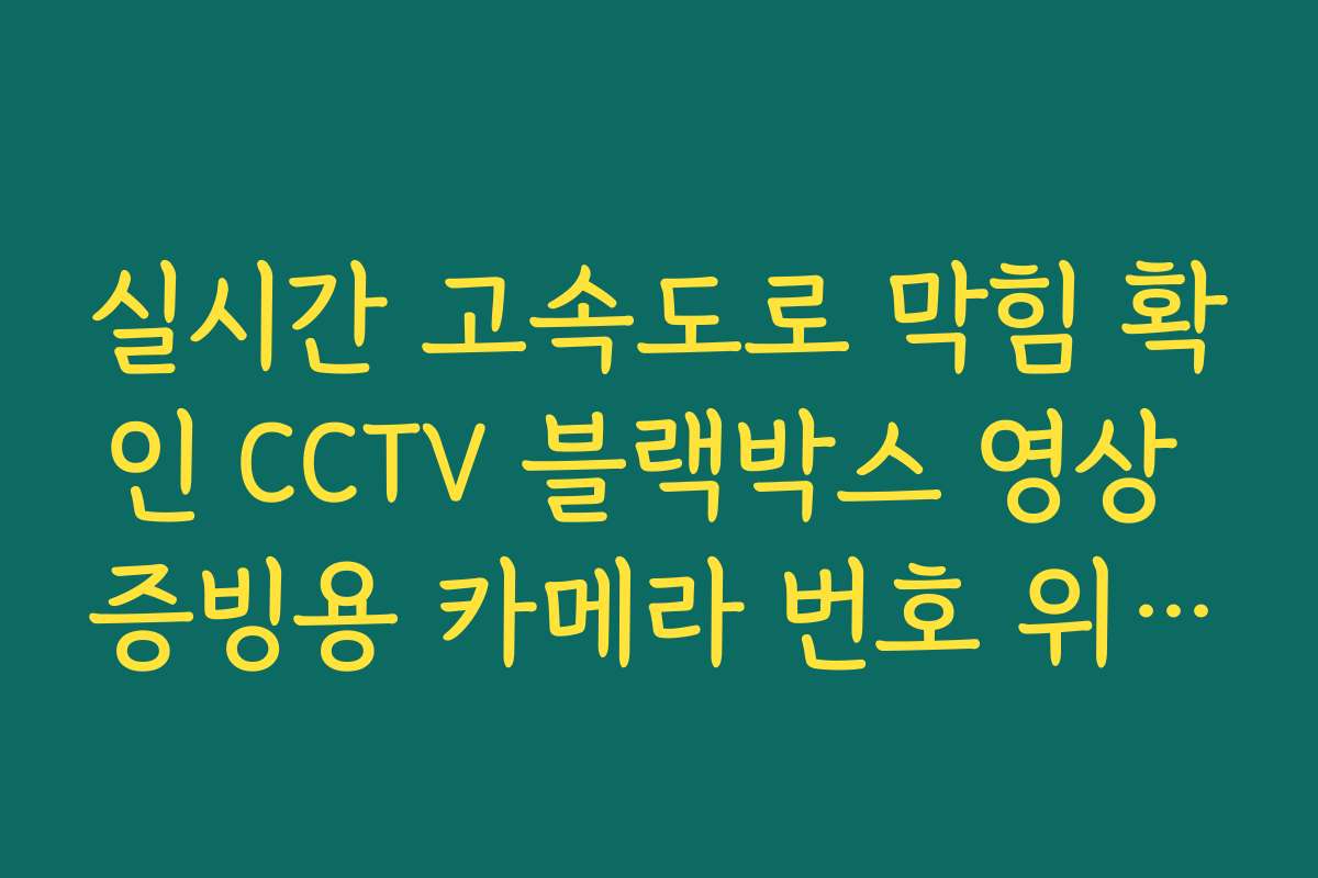 실시간 고속도로 막힘 확인 CCTV 블랙박스 영상 증빙용 카메라 번호 위치 안내