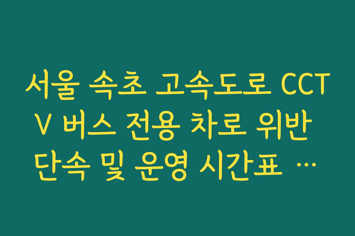 서울 속초 고속도로 CCTV 버스 전용 차로 위반 단속 및 운영 시간표 확인