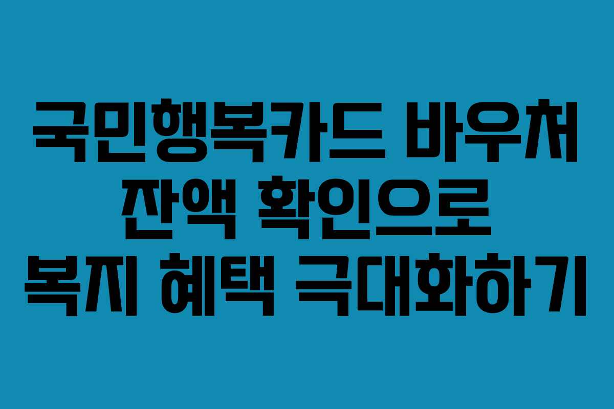 국민행복카드 바우처 잔액 확인으로 복지 혜택 극대화하기