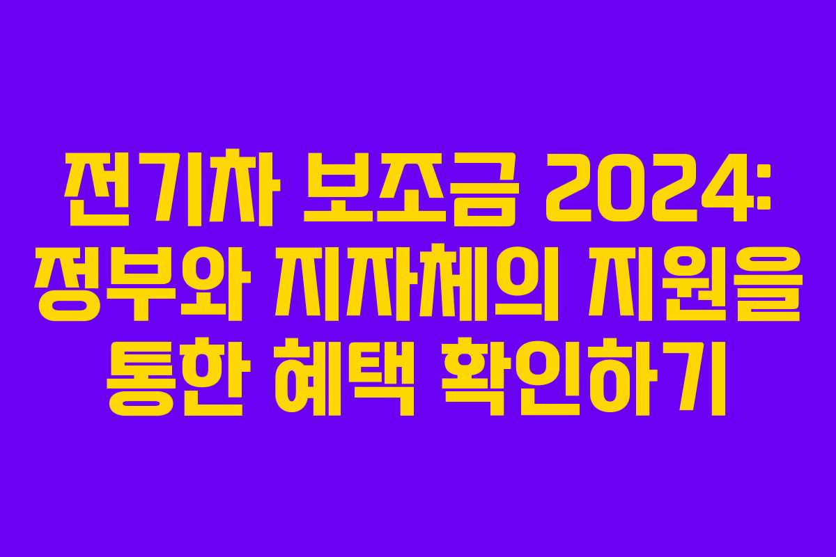 전기차 보조금 2024: 정부와 지자체의 지원을 통한 혜택 확인하기