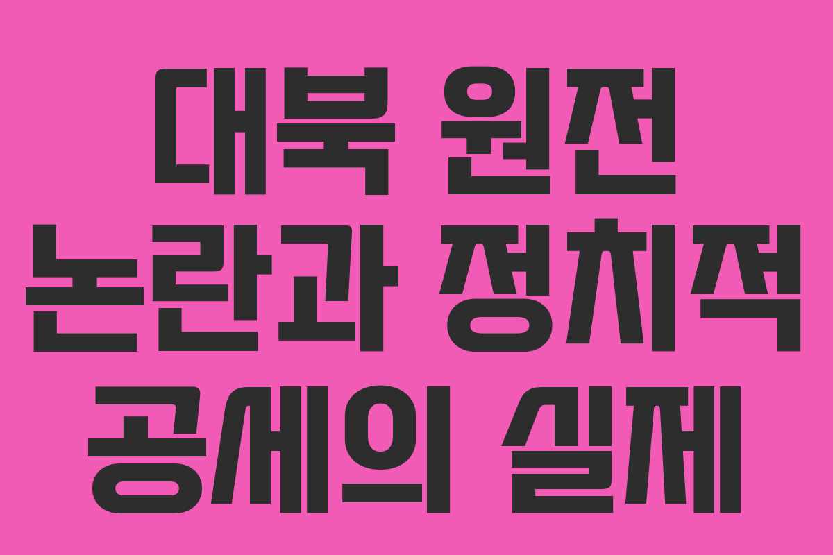 대북 원전 논란과 정치적 공세의 실제
