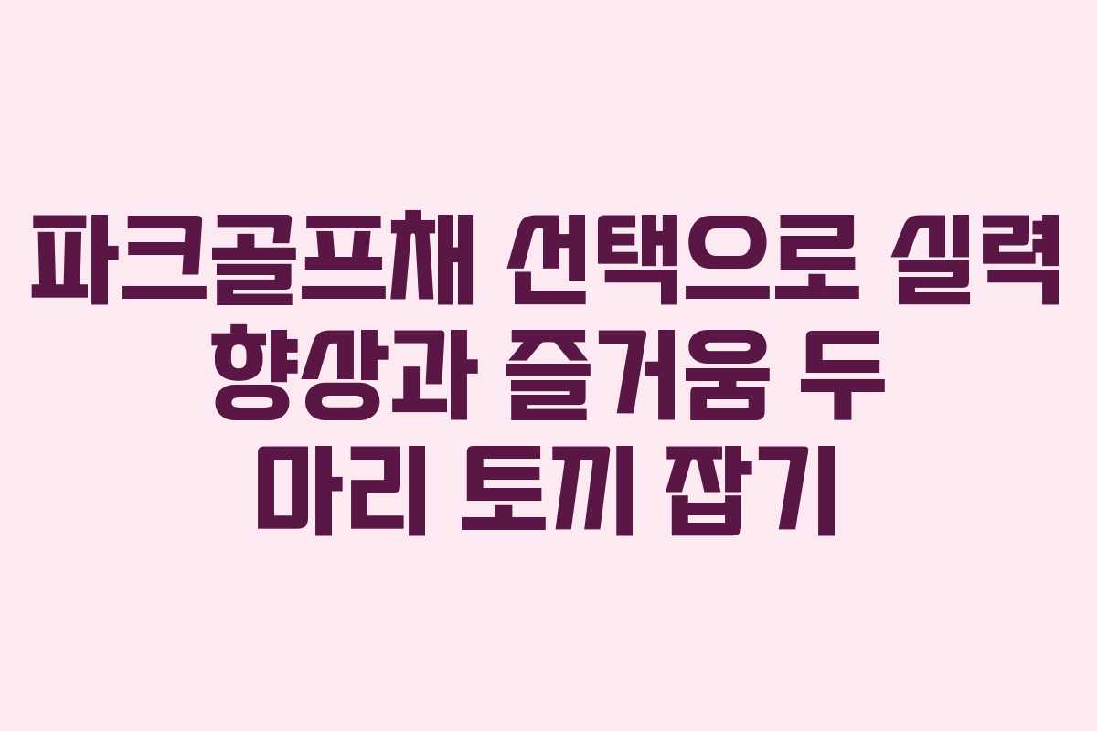 파크골프채 선택으로 실력 향상과 즐거움 두 마리 토끼 잡기
