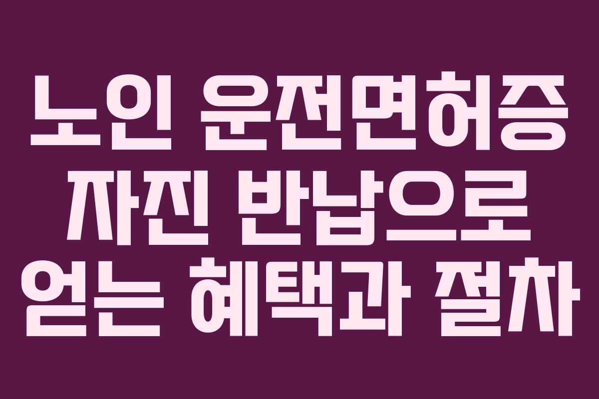 노인 운전면허증 자진 반납으로 얻는 혜택과 절차