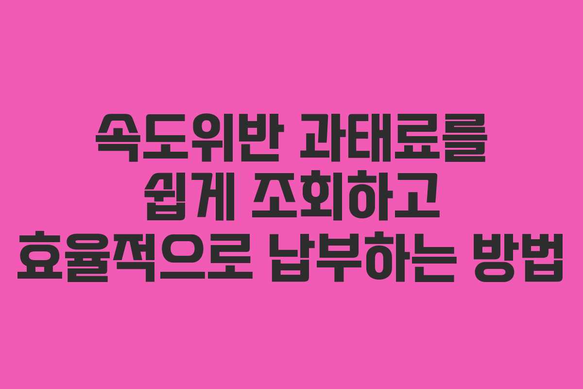 속도위반 과태료를 쉽게 조회하고 효율적으로 납부하는 방법