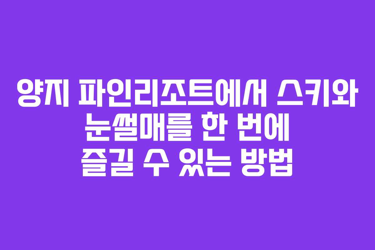 양지 파인리조트에서 스키와 눈썰매를 한 번에 즐길 수 있는 방법