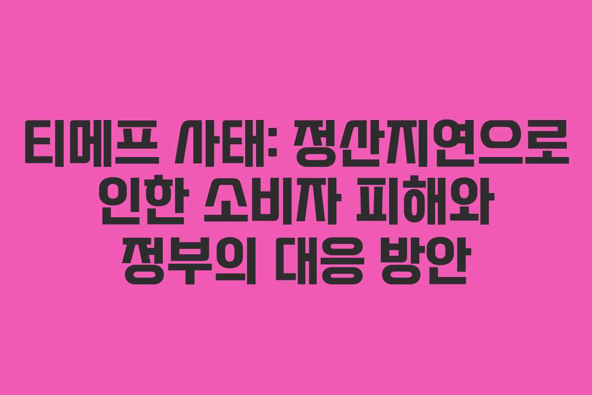 티메프 사태: 정산지연으로 인한 소비자 피해와 정부의 대응 방안