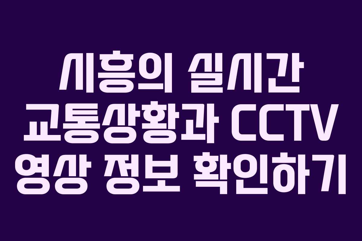 시흥의 실시간 교통상황과 CCTV 영상 정보 확인하기