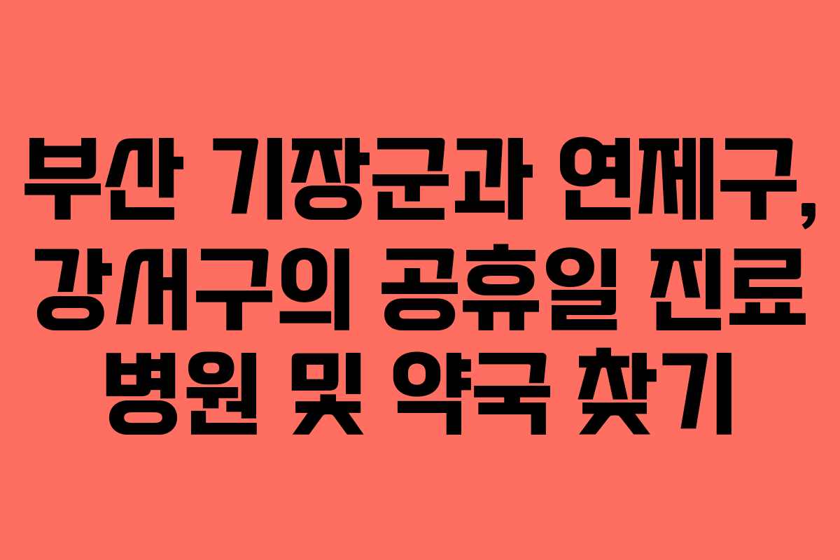 부산 기장군과 연제구, 강서구의 공휴일 진료 병원 및 약국 찾기