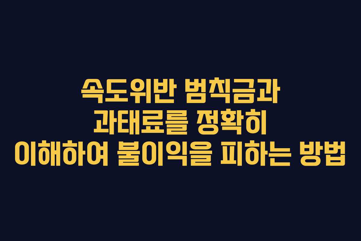 속도위반 범칙금과 과태료를 정확히 이해하여 불이익을 피하는 방법
