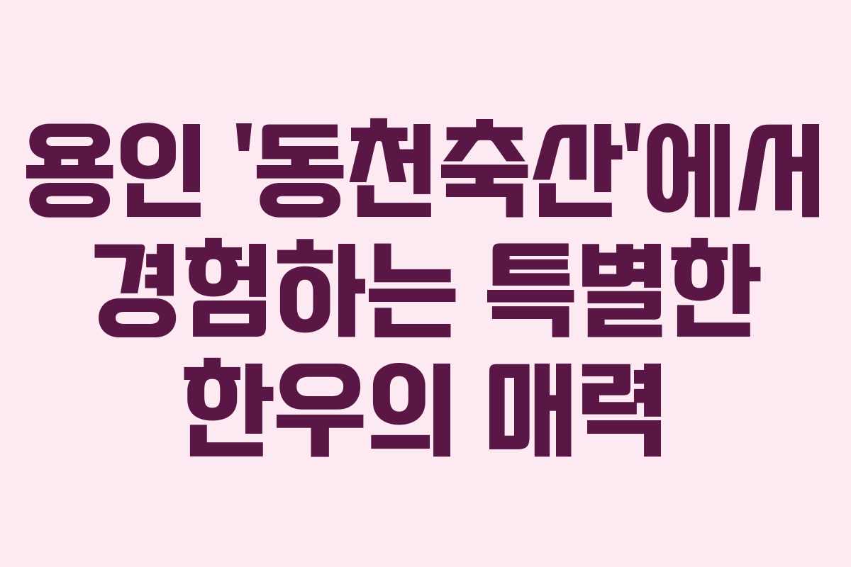 용인 ‘동천축산’에서 경험하는 특별한 한우의 매력