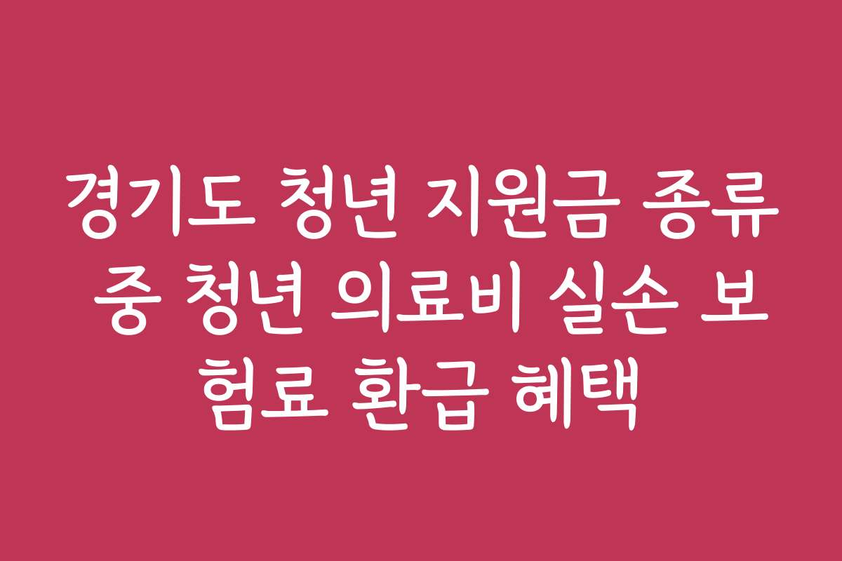 경기도 청년 지원금 종류 중 청년 의료비 실손 보험료 환급 혜택