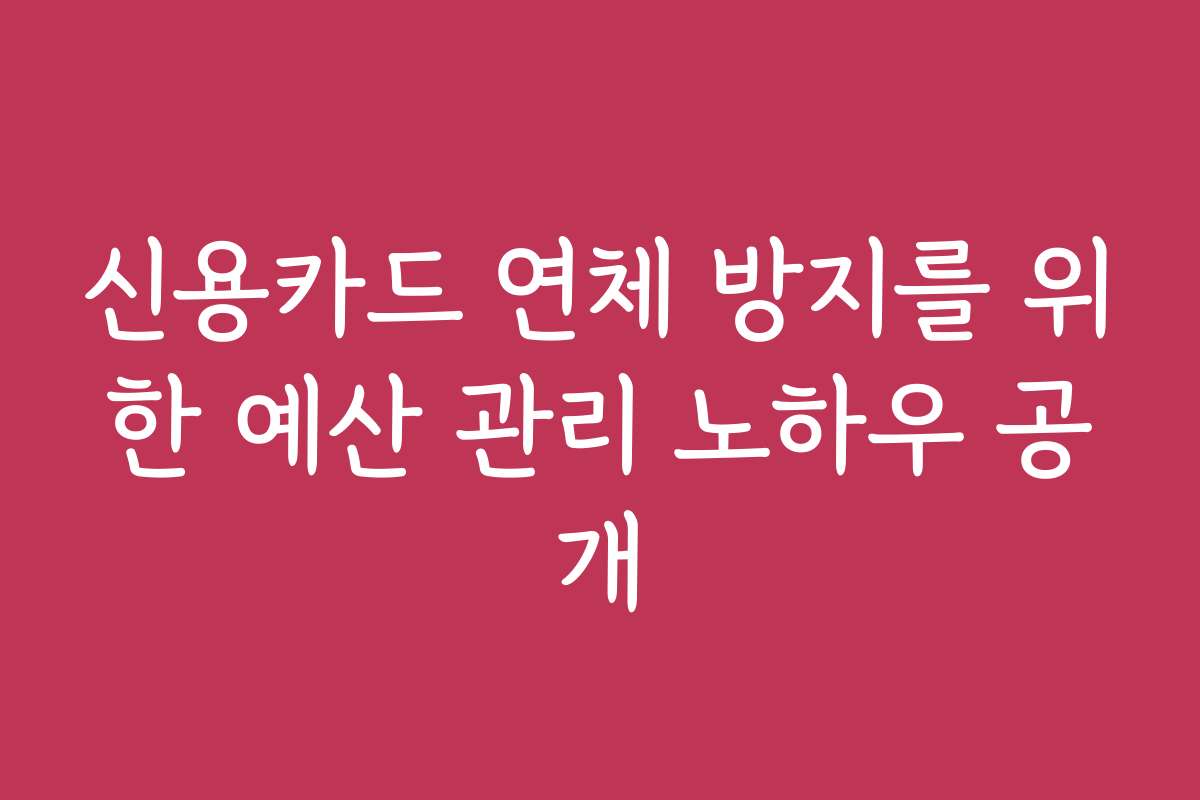 신용카드 연체 방지를 위한 예산 관리 노하우 공개