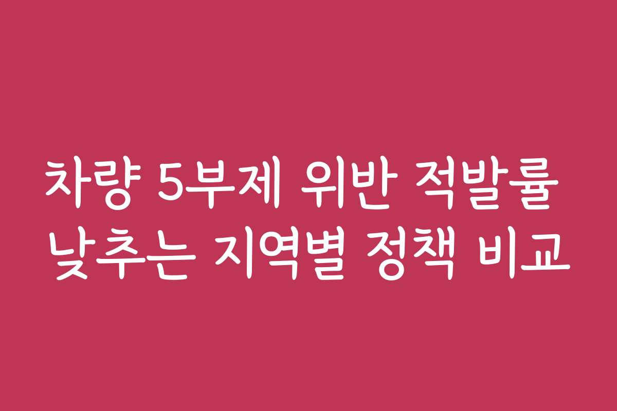차량 5부제 위반 적발률 낮추는 지역별 정책 비교