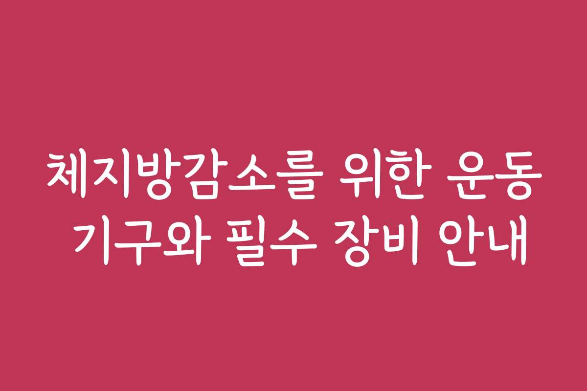 체지방감소를 위한 운동 기구와 필수 장비 안내