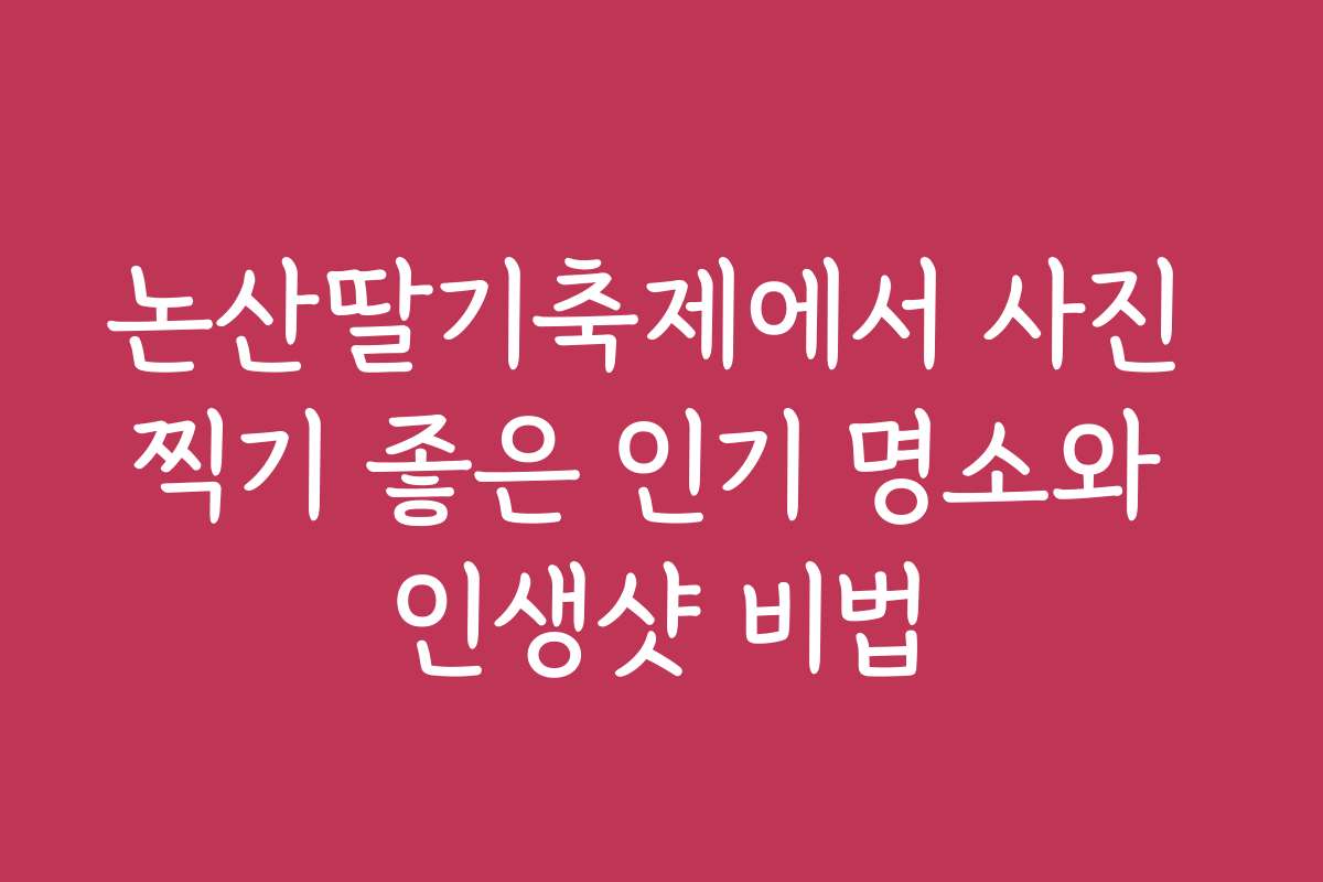 논산딸기축제에서 사진 찍기 좋은 인기 명소와 인생샷 비법