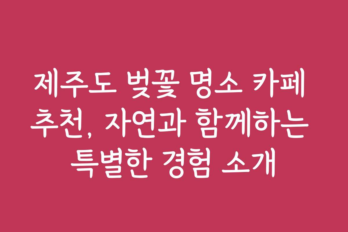 제주도 벚꽃 명소 카페 추천, 자연과 함께하는 특별한 경험 소개