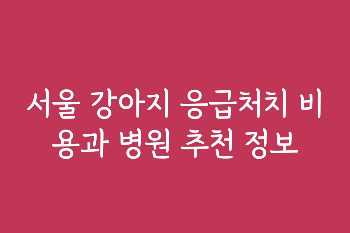 서울 강아지 응급처치 비용과 병원 추천 정보